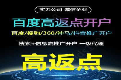 SEM主管实战技巧：案例分享与解读